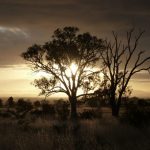 Zonsopkomst Flinders Ranges, Zuid-Australië