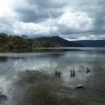 Lake St Clair, Tasmanië